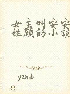 女主叫安安男主姓顾的小说