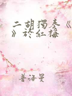 二胡独奏《月夜》于红梅