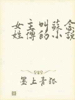 女主叫苏念男主姓傅的小说