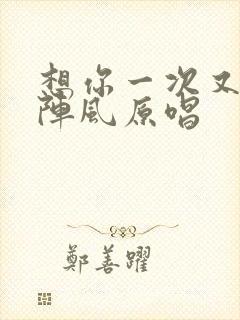 想你一次又起一阵风原唱