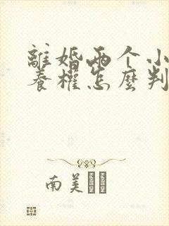 离婚两个小孩抚养权怎么判