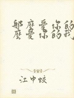 那么爱你的我那么爱你的我是什么歌