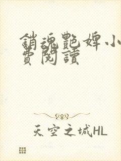 销魂艳婢小说免费阅读