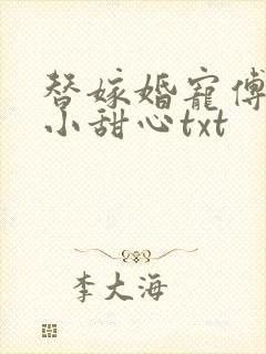 替嫁婚宠傅少的小甜心txt