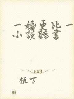 一婚更比一婚高小说听书