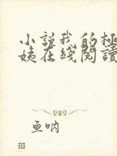 小说我的极品小姨在线阅读