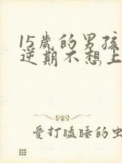 15岁的男孩叛逆期不想上学