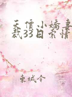 天价小娇妻 总裁33日索情