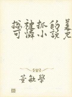 总被抓的美貌小可怜小说免费阅读