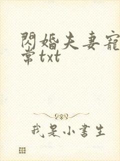 闪婚夫妻宠娃日常txt