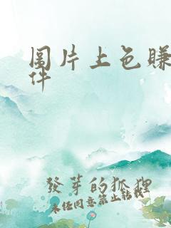 图片上色赚钱软件