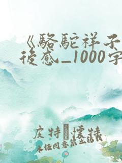 《骆驼祥子》读后感_1000字