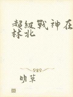 超级战神在都市林北