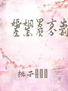 婚姻男方出轨财产怎么分割