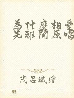 为什么相爱的人先离开原唱