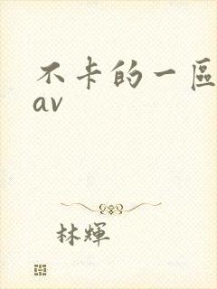 不卡的一区二区av