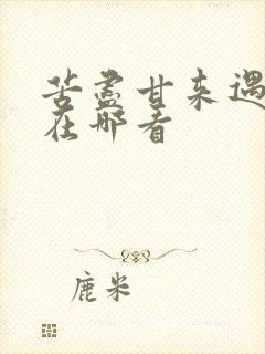 苦尽甘来遇见你在哪看