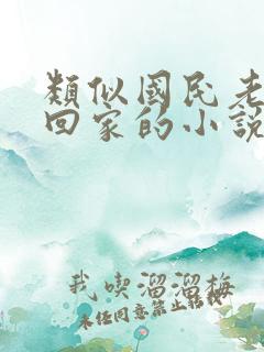 类似国民老公带回家的小说