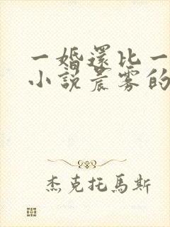 一婚还比一婚高小说晨雾的光完整版全文阅读