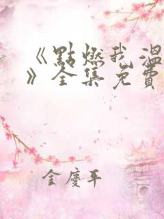 《点燃我温暖你》全集免费电视剧