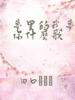 梦里的我梦里的你什么歌