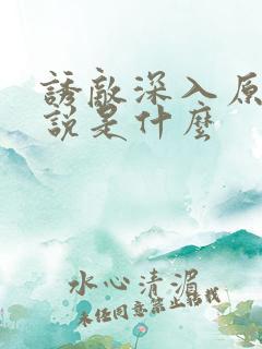 诱敌深入原著小说是什么