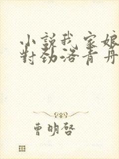 小说我家娘子不对劲洛青舟章节目录