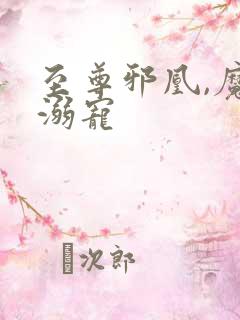 至尊邪凰,魔帝溺宠