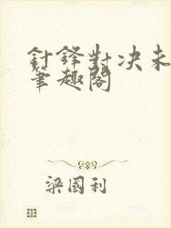 针锋对决未删减笔趣阁