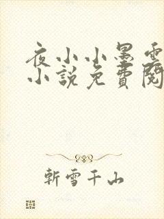 夜小小墨云晔的小说免费阅读