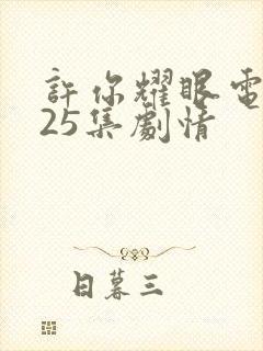 许你耀眼电视剧25集剧情