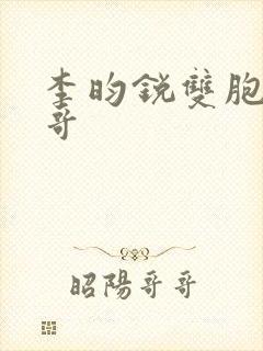 李昀锐双胞胎哥哥