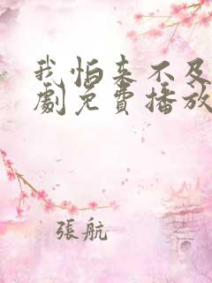 我怕来不及电视剧免费播放