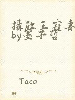 摄政王宠妻日常by墨子哲