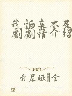 我怕来不及电视剧剧情介绍