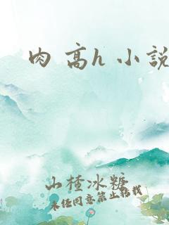 肉 高h 小说
