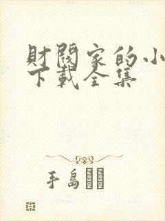 财阀家的小儿子下载全集