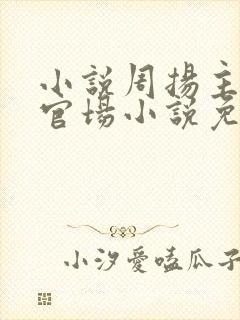 小说周扬主角的官场小说免费阅读