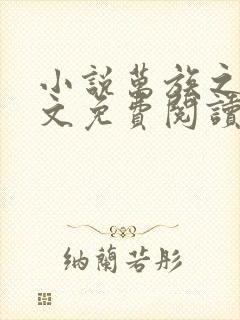 小说万族之劫全文免费阅读全文