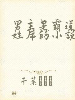 男主是霸道总裁姓席的小说