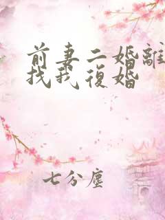 前妻二婚离了又找我复婚