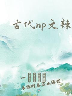 古代np文辣文
