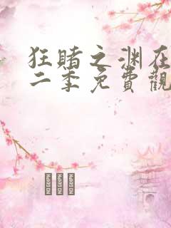 狂赌之渊在线第二季免费观看