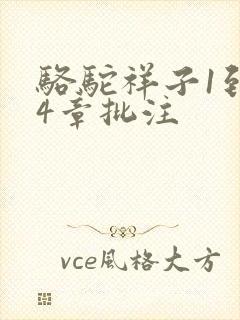 骆驼祥子1到24章批注