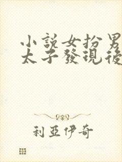 小说女扮男装被太子发现后