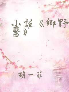 小说《乡野小傻医》