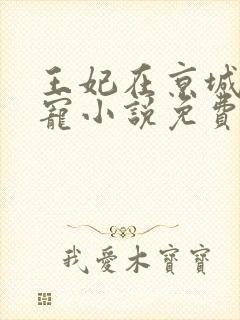 王妃在京城当团宠小说免费看