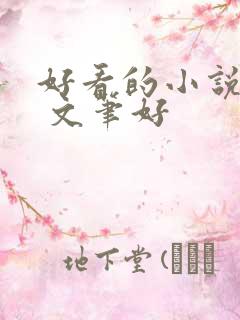好看的小说推荐 文笔好