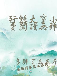 轩辕大宝小说免费阅读无弹窗全文