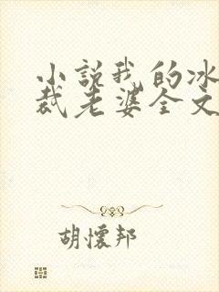 小说我的冰山总裁老婆全文阅读